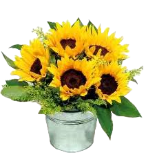 Karens ChildCare Freckleton